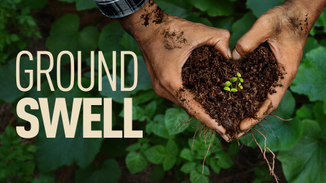 Groundswell