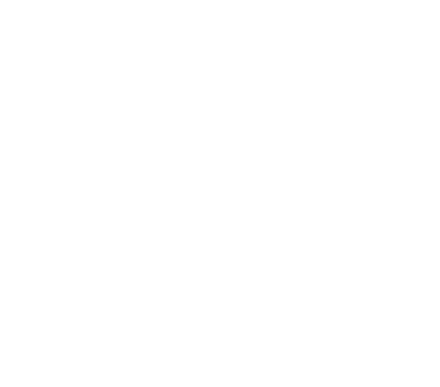 A Complete Unknown