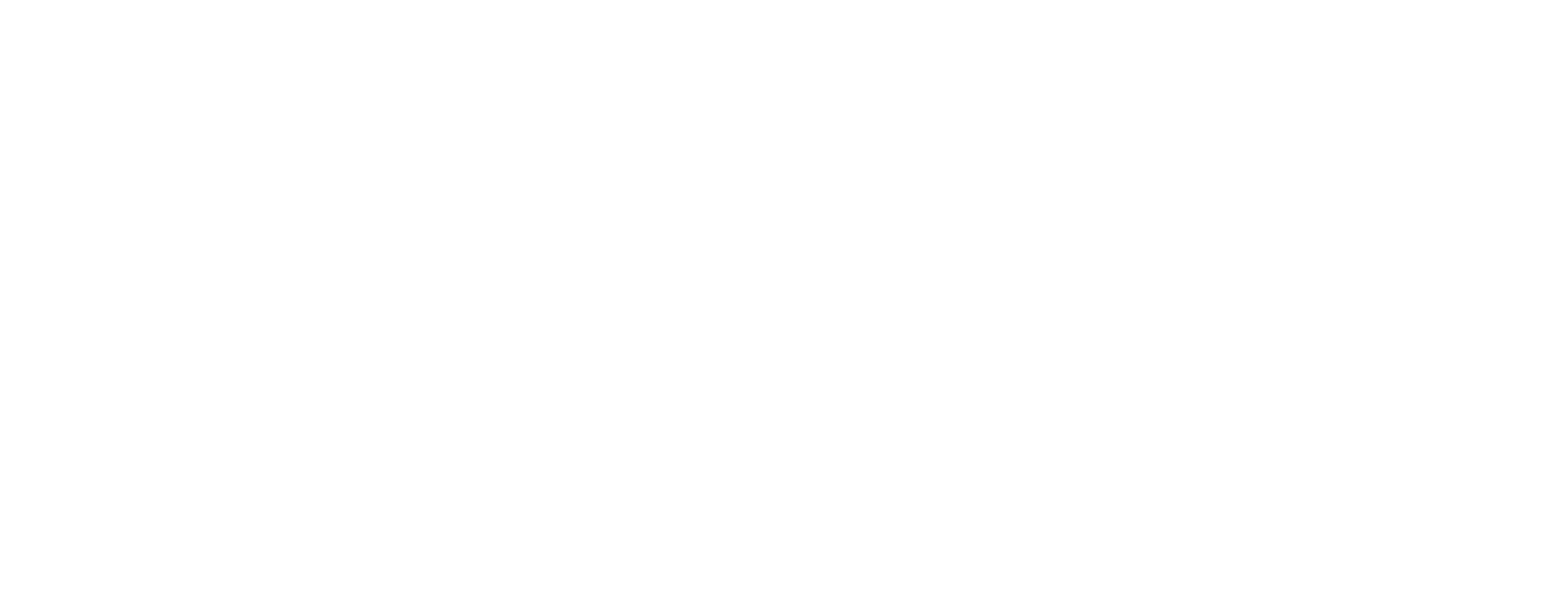 Winter Spring Summer or Fall