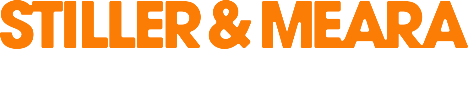 Stiller & Meara: Nothing Is Lost