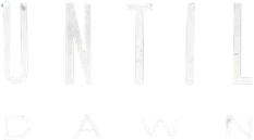 Until Dawn